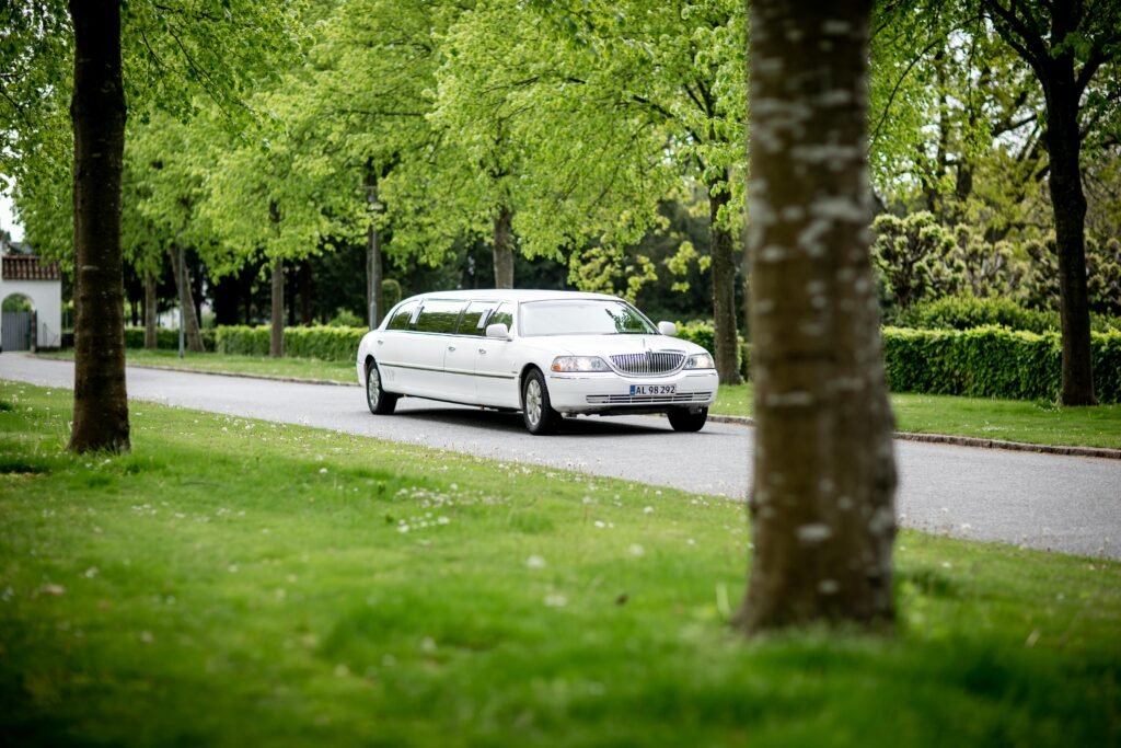 Airport transfers, executive transport, fleet management, luxury car rentals in Frankfurt